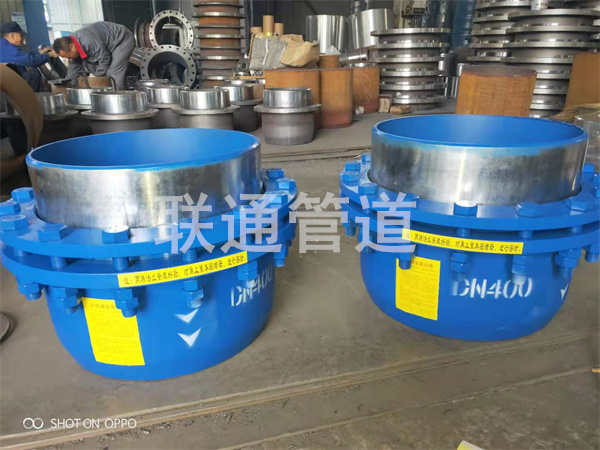 �����S�o���D�a����